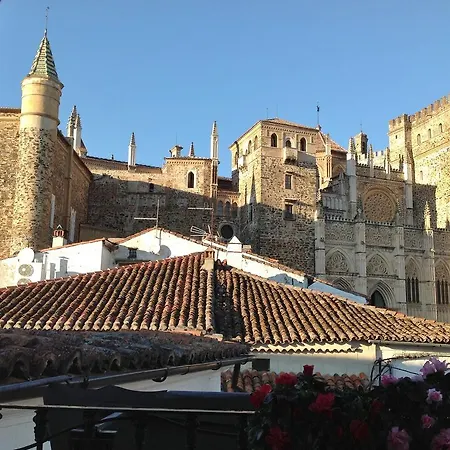 Cerezo 2 Guadalupe (Extremadura)