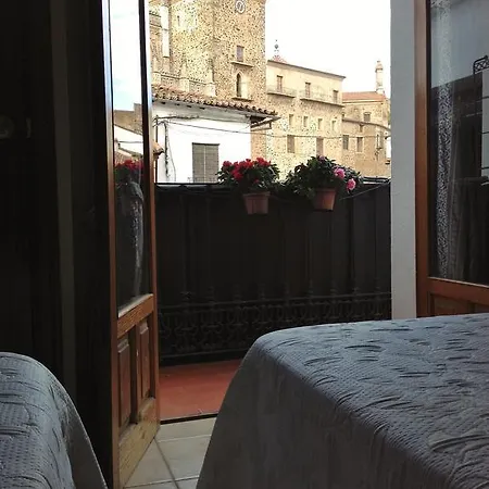 Cerezo 2 Guadalupe (Extremadura)